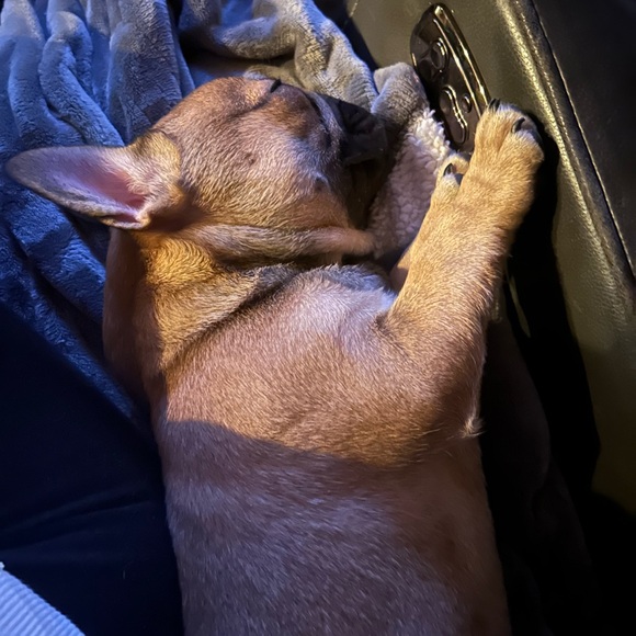 Meet your Posher, Felisa - Picture 4 of 10